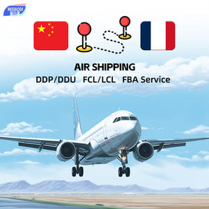 Expédition Aérienne Rapide DDP Porte-à-Porte Transitaire FCL LCL Agent Maritime de Chine vers la <span class=keywords><strong>France</strong></span> Agence Logistique Aérienne+Express - Product Image 1