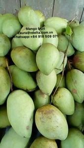 POUDRE EXTRAITE DE FRUITS DE MANGUE DU VIETNAM/Ms Laura - Product Image 5