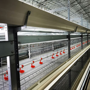 Equipo para aves de corral, máquina para fabricar piensos para aves de corral, equipo para cría de pollos - Product Image 1