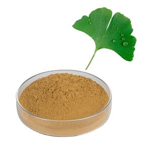 Hoge Kwaliteit <span class=keywords><strong>Ginkgo</strong></span> <span class=keywords><strong>Biloba</strong></span> <span class=keywords><strong>Extract</strong></span> 10:1 <span class=keywords><strong>Ginkgo</strong></span> <span class=keywords><strong>Biloba</strong></span> <span class=keywords><strong>Extract</strong></span> Poeder - Product Image 1