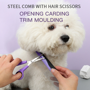Fabrika toptan taşınabilir çok fonksiyonlu 9 1 kedi tımar aracı kiti temizleme çantası köpek evcil hayvan fırçası seti - Product Image 5