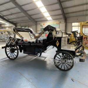 Black double-canopied sightseeing carriages with two <b>rows</b> of seats are suitable for tourist attractions - Product Image 6