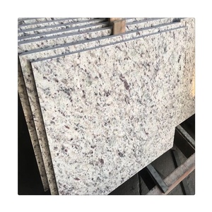 Белая Роза галактика Гранит Открытый натуральный камень Vizag плитка - Product Image 2