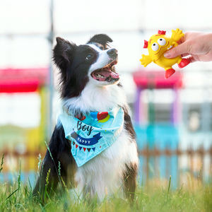 Kangdarpet yüksek kalite küçük canavar şekli lateks köpek oyuncak cıvıl cıvıl cıvıl interaktif ve hareket Pet oyuncak favori sağlık köpek oyuncak - Product Image 6