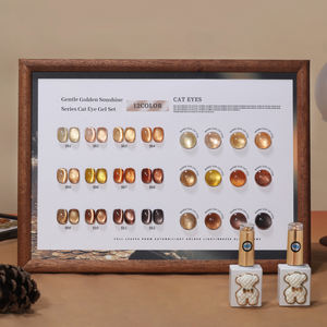 ZRKGEL OEM Set di Smalti Gel UV Magnetici Riflettenti con Logo Personalizzato, 12 Colori, Effetto Occhio di Gatto, Senza HEMA/TPO, Lunga Durata e Brillante - Product Image 6