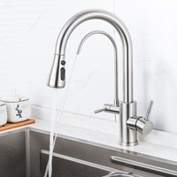 Robinet de cuisine extractible transfrontalier en acier inoxydable brossé, chaud/froid, purificateur d'eau deux-en-un, à consommation directe, céramique simple