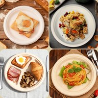 Vente en gros de compartiments biodégradables sans PFAS 6 pouces 7 pouces 9 pouces 10 pouces Assiettes alimentaires jetables en bagasse canne à sucre