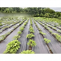 Toile de paillage agricole pour vergers, film de couverture du sol, écologique, biodégradable, en PE/PP, perméable à l'eau et à l'air