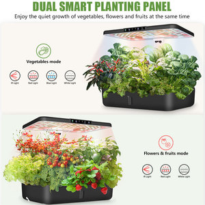 Sistema di Coltivazione Idroponica con Serbatoio d'Acqua, Giardino Intelligente da Interno con Luci LED <span class=keywords><strong>per</strong></span> la Crescita di Verdure, Frutta e Fiori - Product Image 3