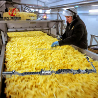 QD 1000kg/u Industriële Nieuwe Volledig Automatische RVS 304 Productielijn voor Aardappelchips, Diepvriesfrieten en Halfgebakken Fruit