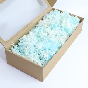 อินส์ สไตล์ ไฮ คุณลิตี้ ฟอร์เอเวอร์ ลาสติ้ง แอนนา ไฮเดรนเยีย กล่อง 100 กรัม หลากสี เป็นมิตรกับสิ่งแวดล้อม สำหรับตกแต่งบ้าน วันอีสเตอร์ วันคริสต์มาส - Product Image 3