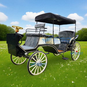 Calèche de tourisme électrique à quatre roues, calèche de mariage romantique de luxe, nouvelle calèche, prix de gros, en vente - Product Image 5