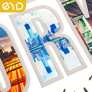 Impression de logos personnalisés <span class=keywords><strong>sur</strong></span> t-shirts EYD, presse à étiquettes, vinyle <span class=keywords><strong>Paris</strong></span>, transfert thermique DTF, silicone, transfert thermique chenille, vêtements à repasser, patchs New York - Product Image 2