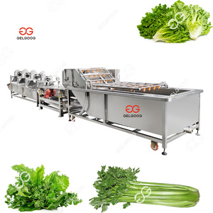 Machine de nettoyage et de séchage des légumes (colza, pommes de terre, carottes, choux, oignons, laitues) et de lavage et d'emballage - Product Image 5