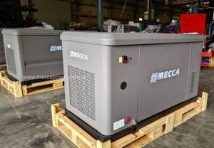 60Hz 15KW 20kW Xăng xách tay máy phát điện điện im lặng LPG ng nhiên liệu kép Máy phát điện - Product Image 3