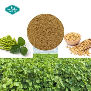 Non-GMO Gluten Free Plant Extract Soy Peptides Soybean Isoflavone Extract Collagen Peptide Ecithin Powder