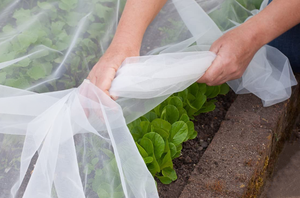 Vente en gros de filets <span class=keywords><strong>anti</strong></span>-insectes en plastique sur mesure Filet <span class=keywords><strong>anti</strong></span>-insectes agricole pour protéger les jardins potagers - Product Image 2