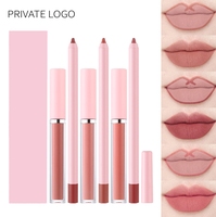 Paquet rose 2 en 1 Lipliner et rouge à lèvres liquide mat Logo privé