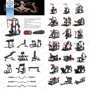 Solución Integral para Gimnasios Comerciales: Sistemas de Entrenamiento de Fuerza y Cardio con Carga de Discos para Hoteles, Campus y Gimnasios Corporativos - Product Image 2