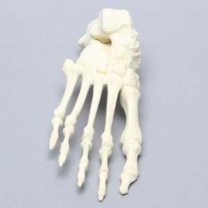 KyrenMed, modelo anatómico de hueso de <span class=keywords><strong>pie</strong></span> humano de espuma sólida, modelo de entrenamiento ortopédico de esqueleto para Taller, perforación preoperatoria - Product Image 6