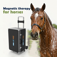 Appareil de thérapie magnétique PMST NEO Vet PEMF pour la réadaptation des blessures chez les chevaux, équipement de physiothérapie vétérinaire