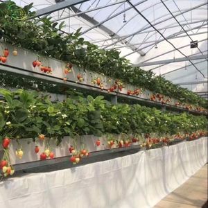 Meilleure Vente : Petit Système Hydroponique Vertical NFT pour la Culture de Tomates et Fraises – <span class=keywords><strong>Gouttière</strong></span> en <span class=keywords><strong>PVC</strong></span>, ABS de Qualité Alimentaire, Faible Coût, Haut Rendement, Optimisation de l'Eau - Product Image 6