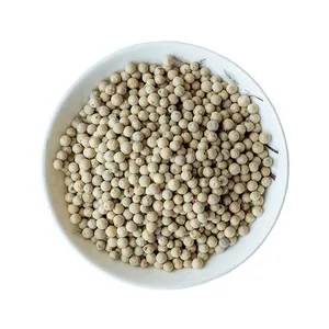 Wholesales Pepper Spices Seasoning Steam Treatment Dehydrated White Pepper