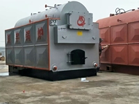 Pemanas Air Panas Biomassa Industri YINYU, Boiler Berbahan Bakar Pelet Kayu, Batubara, dan Serpihan Kayu, Hemat Energi, untuk Pabrik, Rumah Kaca, dan Pemanas Sentral