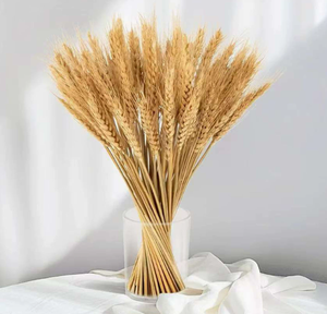 Vente flash : Fleurs séchées en <span class=keywords><strong>blé</strong></span>, 100% <span class=keywords><strong>blé</strong></span> naturel, bouquets <span class=keywords><strong>de</strong></span> <span class=keywords><strong>centre</strong></span> <span class=keywords><strong>de</strong></span> <span class=keywords><strong>table</strong></span> pour mariages rustiques - Product Image 4