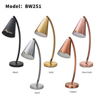 Lampe Chauffante Électrique en Acier Inoxydable pour Aliments, Chariot de Réchauffement pour Buffets, Matériel de Restauration Professionnel