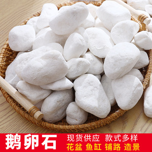 Piedras Blancas Naturales de 1-2 cm, 2-4 cm, 4-6 cm para Acuarios, Bonsáis, Decoración del Hogar, Relleno, Piedras de Paisajismo - Product Image 5