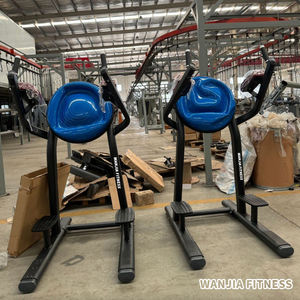 Máquina de Ejercicios Abdominales Comercial de Alta Resistencia para Elevación de Piernas, Dispositivo de Entrenamiento de Músculos Abdominales, Venta al Por Mayor, Personalizable - Product Image 3