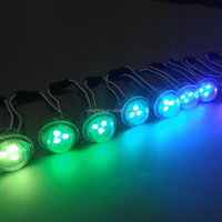 Lumières LED programmables pour parcs d'attractions, cabochons RGB 12V 26mm, pixels pour fêtes foraines, éclairage paysager IP65