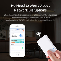 Interrupteur d'éclairage étanche IP66 fonctionne avec Alexa et Google Home TUYA interrupteur de télécommande WIFI interrupteur électrique sans fil intelligent