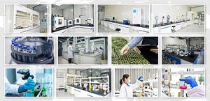 <span class=keywords><strong>Engrais</strong></span> liquide à base d'acides aminés qui améliore la différenciation des bourgeons et favorise la germination précoce et la floraison, libération rapide à 100 % - Product Image 5