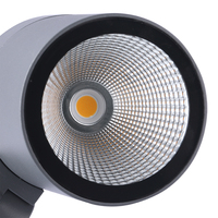 Projecteur de jardin paysager LED IP65 étanche AC220V blanc chaud