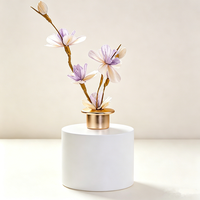 Diffuseur de parfum en verre à bâtonnets d'essences naturelles longue durée 500 ml, sans alcool, pour la maison, le bureau et l'hôtel
