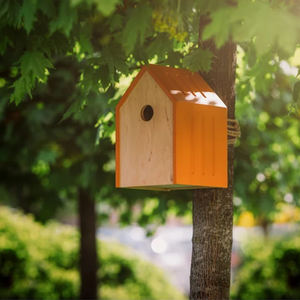 <span class=keywords><strong>Casa</strong></span> de pájaros de <span class=keywords><strong>madera</strong></span>, <span class=keywords><strong>casa</strong></span> de pájaros colgante de <span class=keywords><strong>madera</strong></span> creativa para jaula de pájaros pequeños, alimentador de decoración - Product Image 1