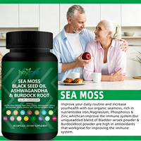 Capsules végétaliennes 10-en-1 OEM sous marque privée pour adultes : Huile de graines noires, Ashwagandha, Racine de bardane, et Algues Marines – Soutien immunitaire et énergétique