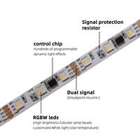 Dream Color 5050 RGBW RGB Ws2811DMX512 Bande LED adressable USB 10mm 10 pixels/m SPI Cuivre pour Projet Décoration DC24V