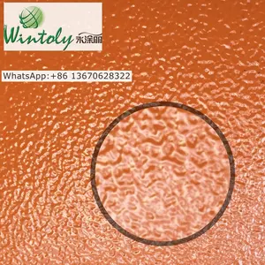 Wintoly Ral7035 pelle antirughe Shagreen Texture elettrostatica poliestere Pintura elettrostatica Polvo rivestimento in polvere