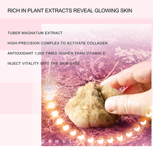 Set de Cuidado de la Piel de 8 Piezas con Suero Reafirmante y Aclarante de Ergotioneína, Matsutake y <span class=keywords><strong>Tuber</strong></span> <span class=keywords><strong>Magnatum</strong></span> al por Mayor de Fábrica - Product Image 3