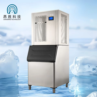 Machine à glaçons en flocons de grande capacité pour usage commercial et industriel, produisant 500 kg par jour avec filtre à eau