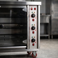 Four à rôtir commercial à gaz pour poulets, 9 broches, capacité 45 poulets, pour les professionnels du barbecue