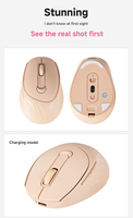 Souris ergonomique sans fil OEM/ODM avec rétroéclairage LED, orange clair, pour droitier, avec charge Type-C, pour bureau et domicile, en stock