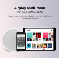 Haut-parleur de plafond professionnel sans fil WIFI BT de 6,5 pouces avec amplificateur pour home cinéma