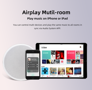 Altavoz de <span class=keywords><strong>Techo</strong></span> Profesional Inalámbrico WIFI BT de 6.5 Pulgadas con Amplificador, Altavoz de <span class=keywords><strong>Techo</strong></span> para Cine en Casa - Product Image 1