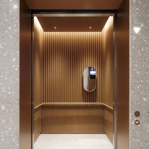 Ascensor Hidráulico para Casa, Elevador Interior para Vivienda, Precio para 2/3/4 Pisos, Ascensor Pequeño para Interiores y Exteriores - Product Image 1