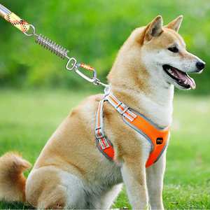 Mosquetón de bloqueo giratorio tipo D multifuncional, mosquetón giratorio, <span class=keywords><strong>Clip</strong></span> de gancho para correa de perro, hamaca, Camping, senderismo - Product Image 6