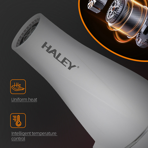 HALEY professionale 2000W salone asciugacapelli efficiente multifunzionale essiccatore ionico per uso domestico Hotel di plastica professionale fatto in casa - Product Image 2
